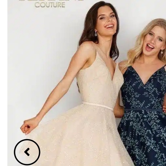 Terani Couture NWT Champagne Tulle Cocktail Dress Wedding Guest Size 6 - Picture 12 of 16